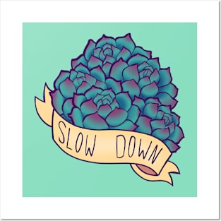 Slow Down Posters and Art